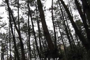 鬱くしい花 | 初音ミク（ボカロ）